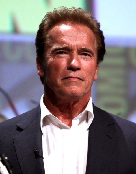 Arnold Schwarzenegger Birth Chart