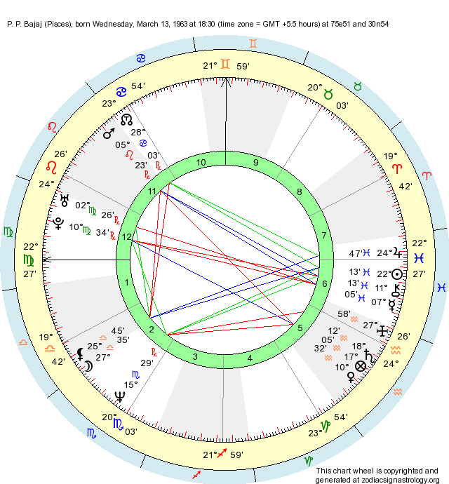 13 Sign Astrology Birth Chart